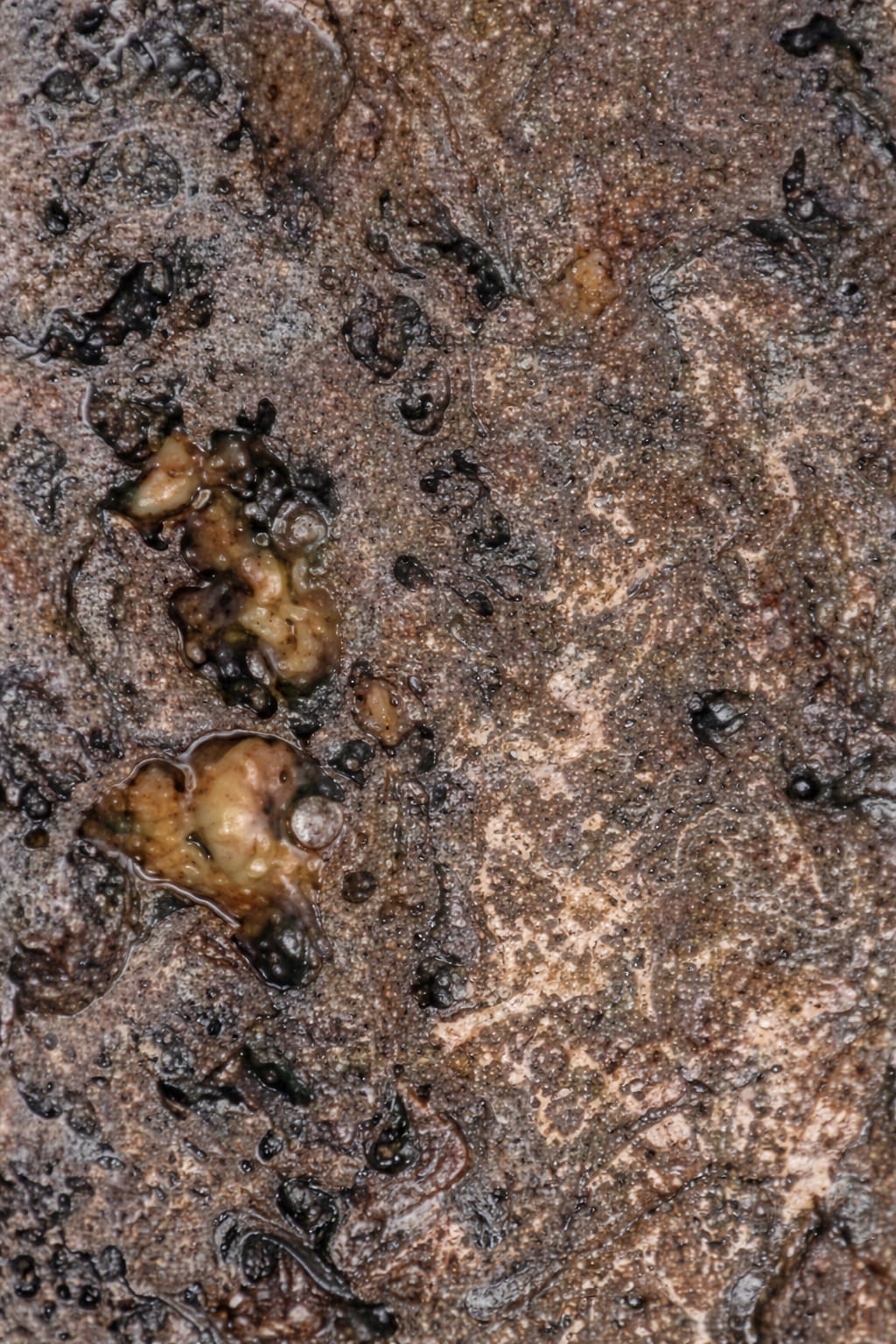 Elit Mermer Desenlerimizle Özgün Tasarımlar